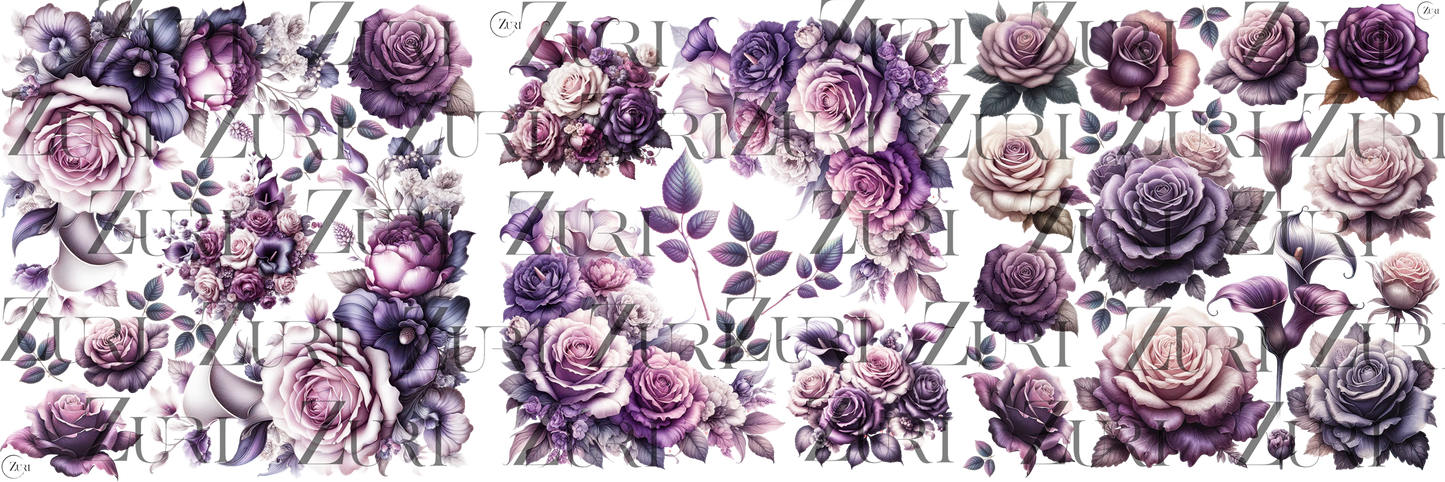 AMETHYST GARDEN TRANSFER