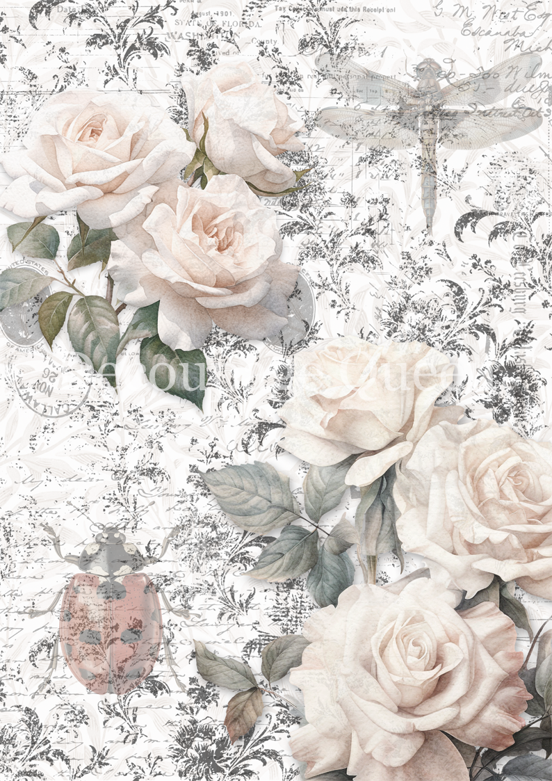 SKETCHES BACKGROUND- DAINTY & THE QUEEN