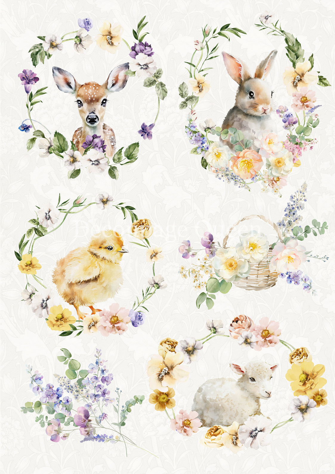 SPRING ANIMALS