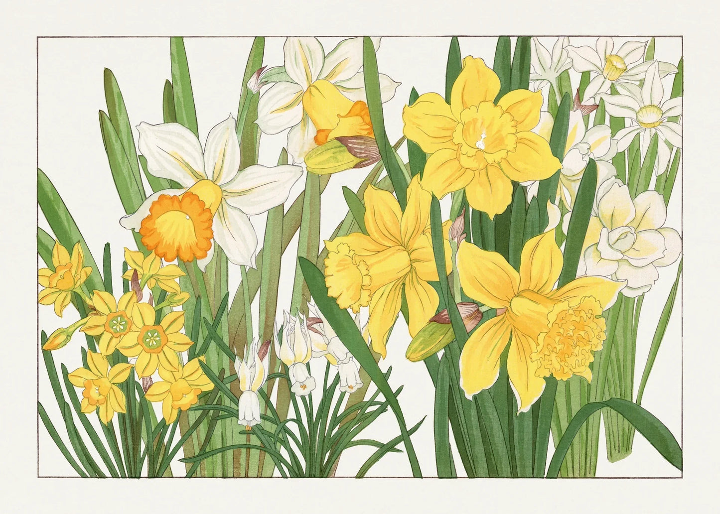 YELLOW FLOWERS