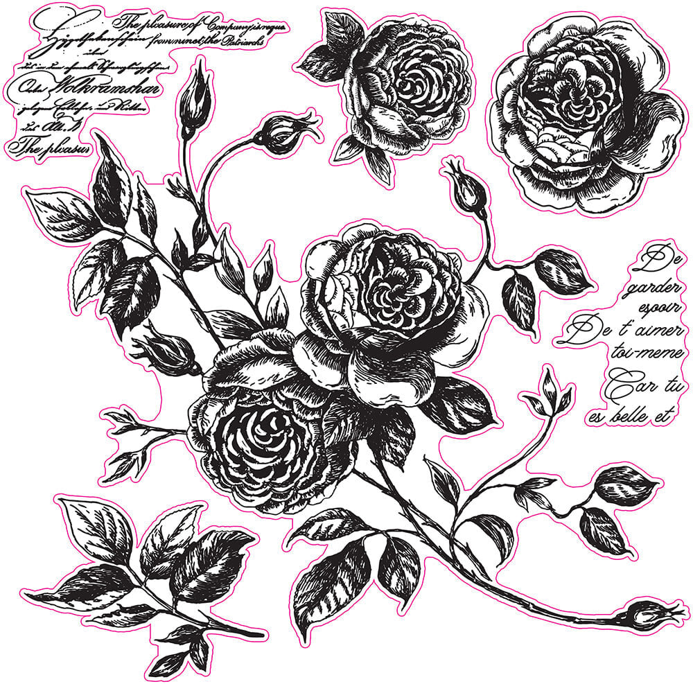 ROMANCE ROSES
