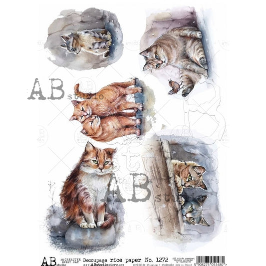 1272-  AB STUDIO RICE PAPER