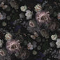 DARK ROSES