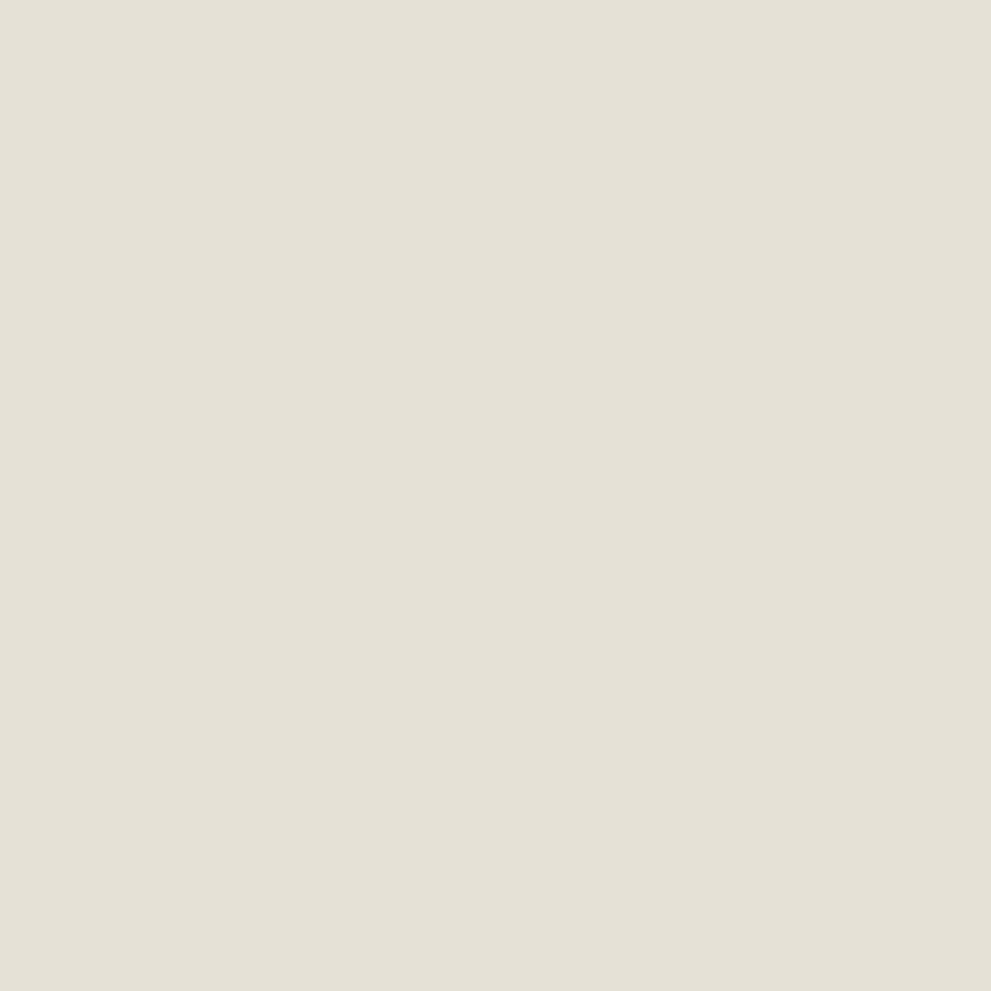 UNIVERSAL PRIMER FOR FLAKES- LIGHT GREY