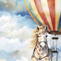 HIGH IN THE SKY