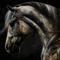 MECHANICAL HORSE