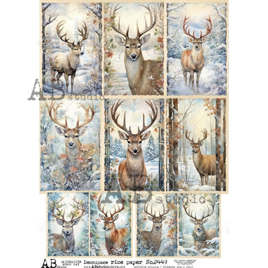 2449 - AB STUDIOS RICE PAPER