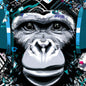 MONKEY DOES