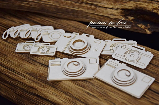 35345- PICTURE PERFECT- 2D & LAYERED CAMERAS