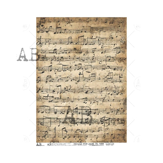 4333- AB STUDIO RICE PAPER