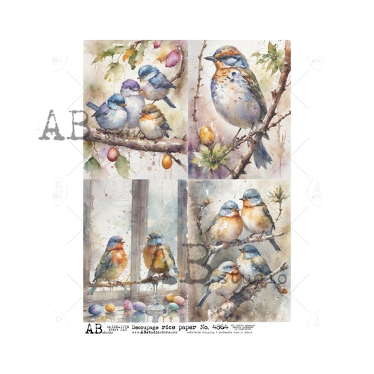 4864-  AB STUDIO RICE PAPER