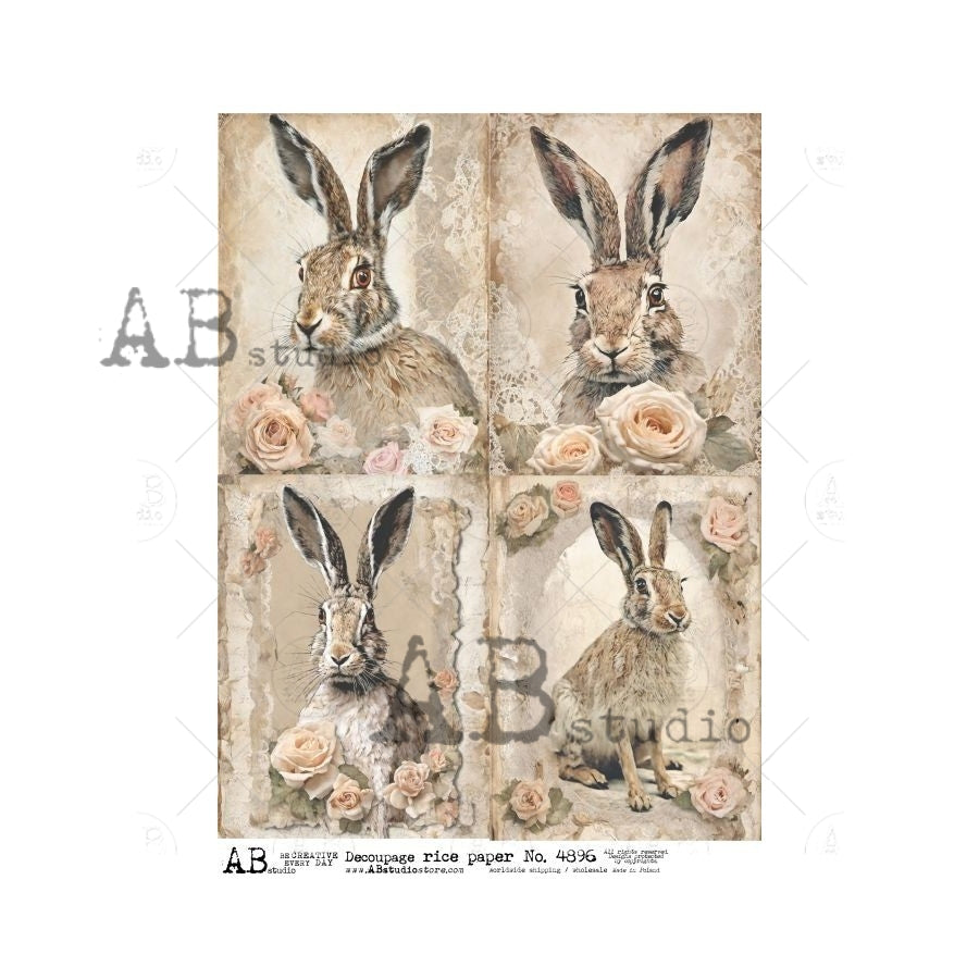 4896-  AB STUDIO RICE PAPER