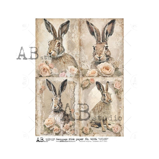 4896-  AB STUDIO RICE PAPER