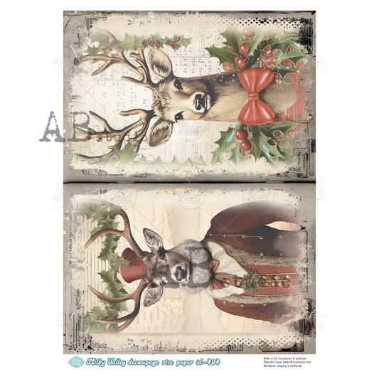 494 - AB STUDIOS RICE PAPER