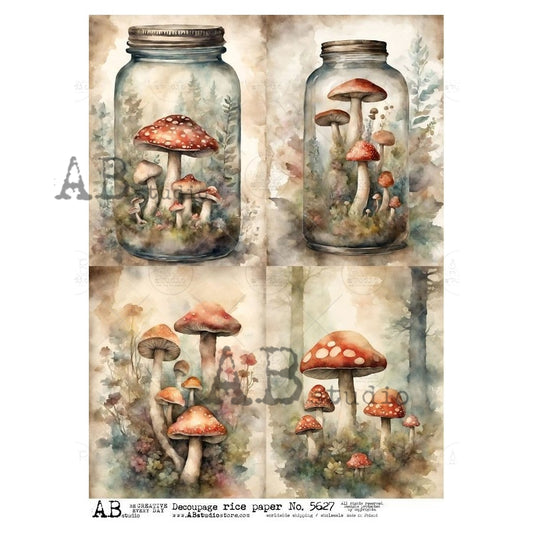 5627- AB STUDIOS RICE PAPER