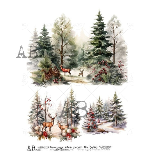 5748- AB STUDIOS RICE PAPER