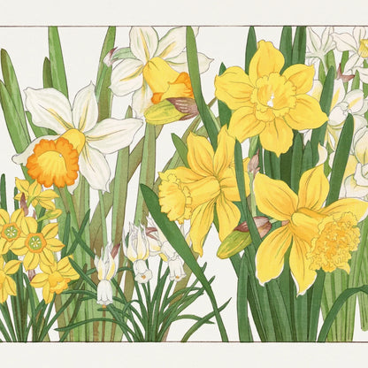YELLOW FLOWERS