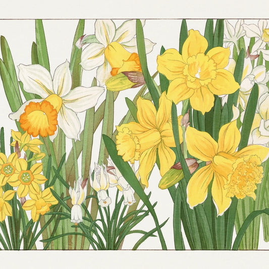 YELLOW FLOWERS