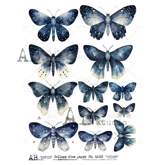 6085- AB STUDIOS RICE PAPER