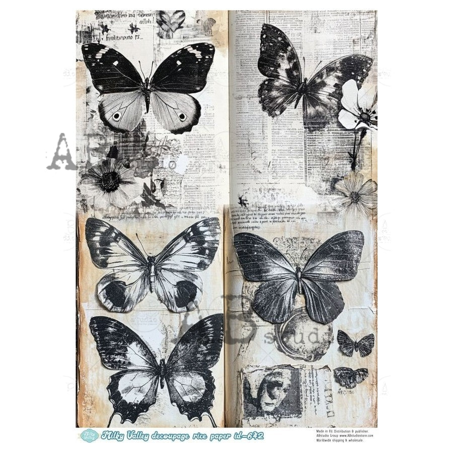 642-  AB STUDIO RICE PAPER