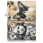 645-  AB STUDIO RICE PAPER