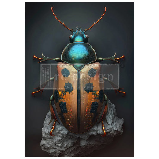 BRASS SCARAB