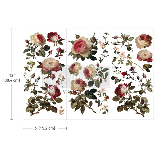 Small Transfers - Midnight Rose