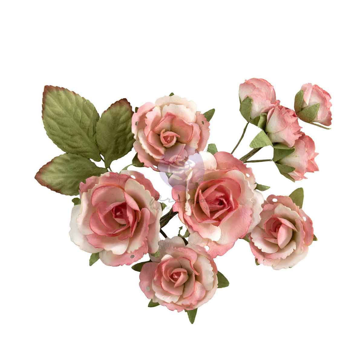 HG - GARDEN ROSE BLUSH FLOWERS (10 PCS)