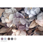 PETALS IN PROSE
