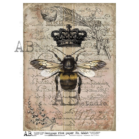 6664- AB STUDIOS RICE PAPER