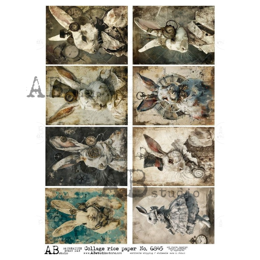 6845- AB STUDIOS RICE PAPER