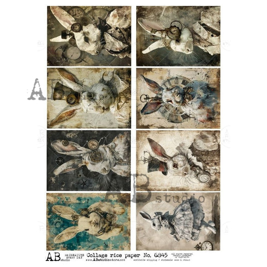 6845- AB STUDIOS RICE PAPER