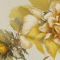 PEACH ROSE