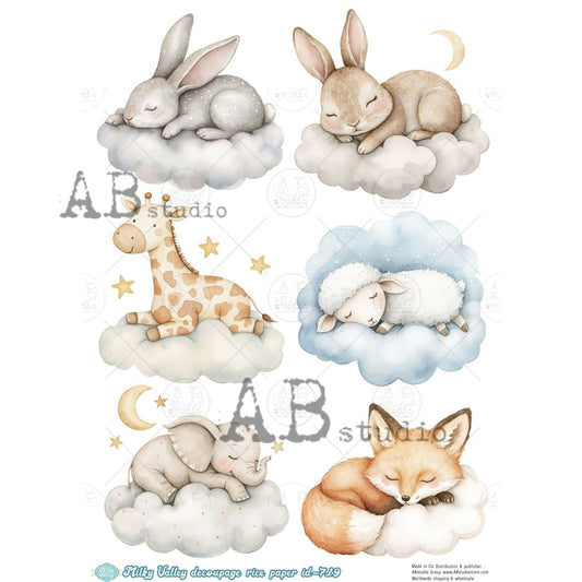 719- AB STUDIOS RICE PAPER