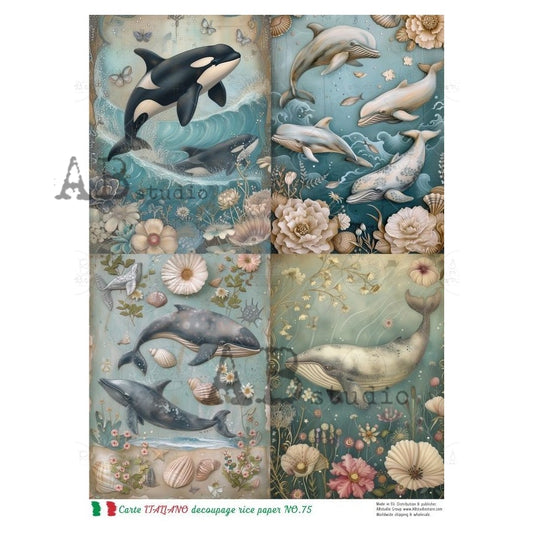 75- AB STUDIOS RICE PAPER