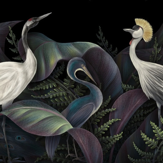 BIRDS OF A FEATHER