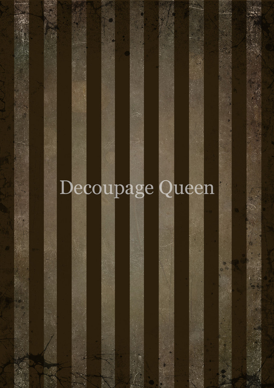 BROWN STRIPES- FALL 2025 COLLECTION