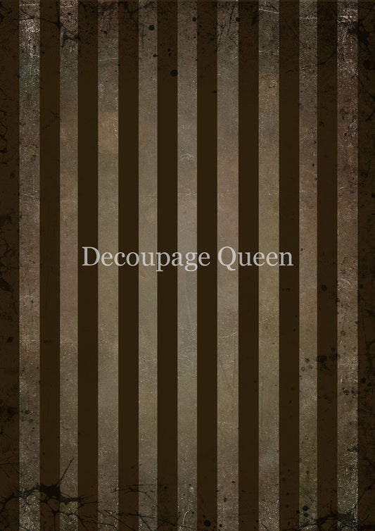 BROWN STRIPES- FALL 2025 COLLECTION