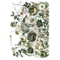 BOTANICAL JOURNAL