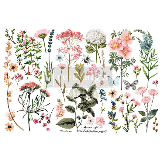BOTANICAL PARADISE