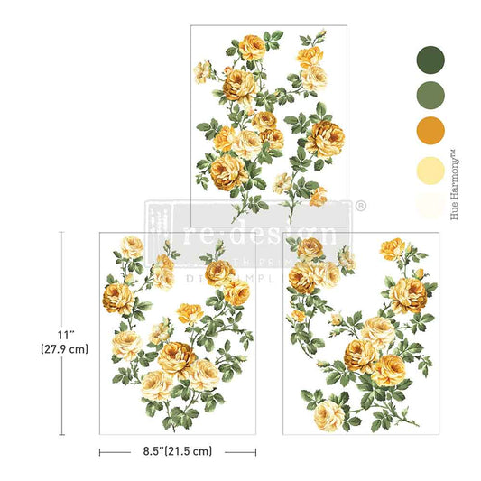 BOUQUET DE PROVENCE