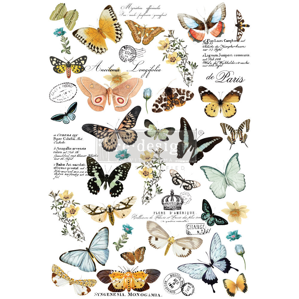 BUTTERFLY DANCE *TO BE DISCONTINUED*