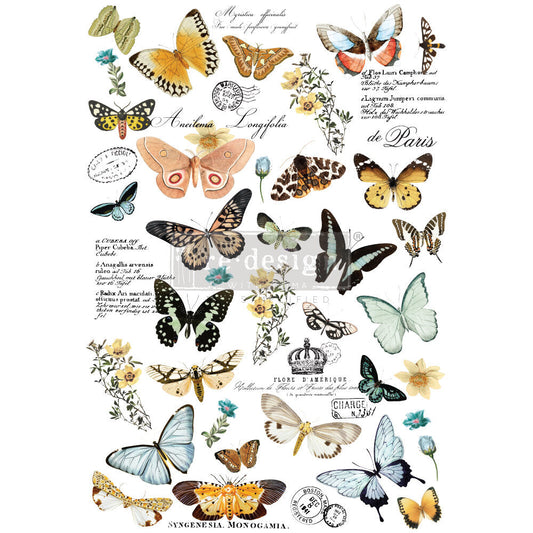 BUTTERFLY DANCE *TO BE DISCONTINUED*