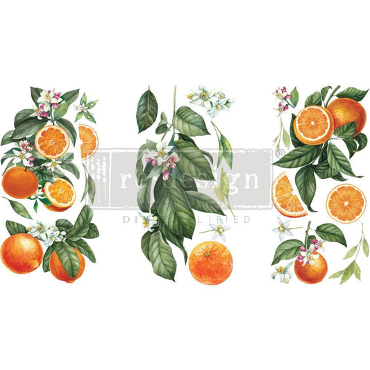 CITRUS SLICE