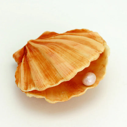CLAM SHELL