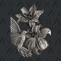 COLIBRI FLUTTERS