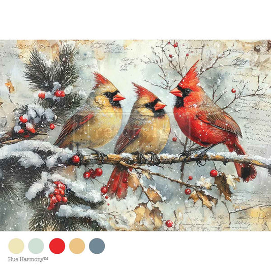 A4 FIBER - CRIMSON NOEL