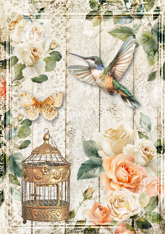 ROSE GARDEN HUMMINGBIRD