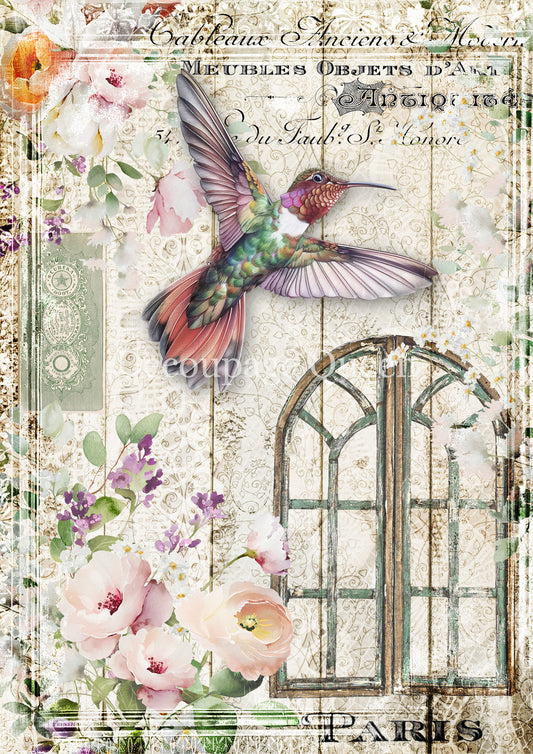 AIRY HUMMINGBIRD