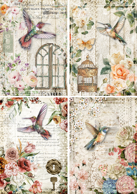 HUMMINGBIRD FOUR PACK